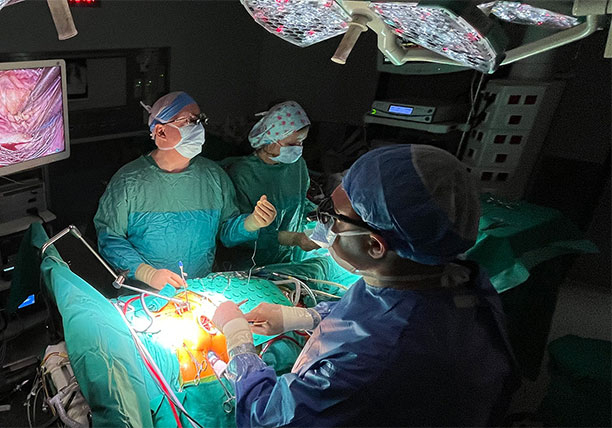 Κατασκευή Ιστοσελίδας |Endoscopic Cardiac Surgeons Club | Ecsclub