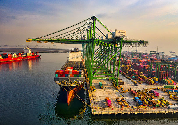 Κατασκευή Ιστοσελίδας | SKG Cargo | Διεθνείς Μεταφορές | ADR