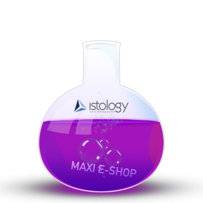 Maxi e-Shop