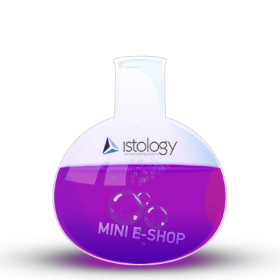 Mini e-Shop