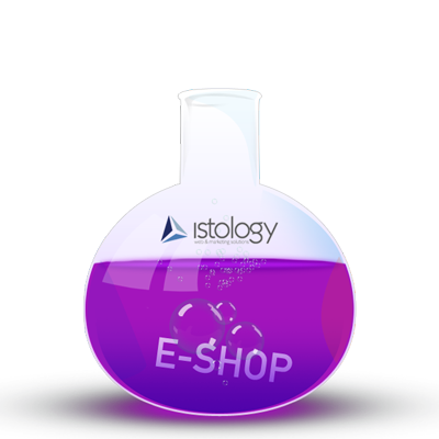 e-Shop development